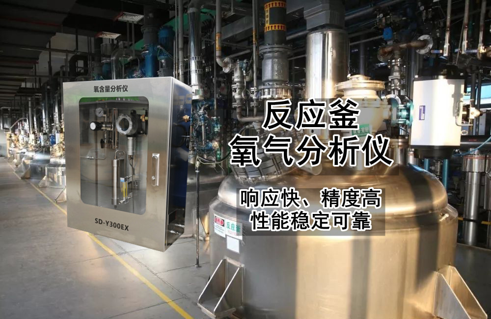 氧含量分析儀
